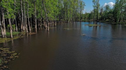 Property in Ballard County, Kentucky