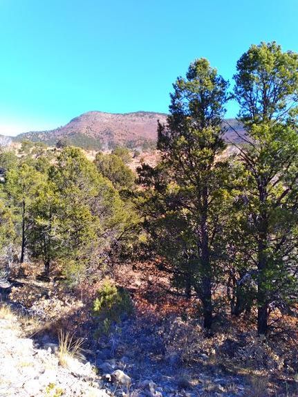 Property in Otero County, New Mexico