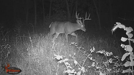 Property in Audrain County, Missouri