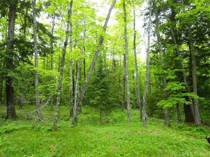 Property in Baraga County, Michigan