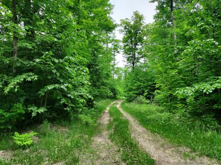 Property in Montmorency County, Michigan