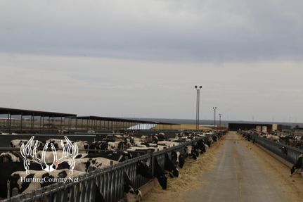 Property in Roosevelt County, New Mexico