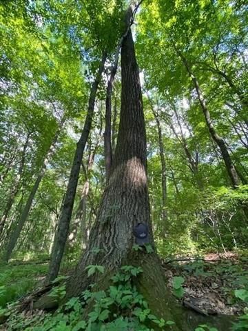 Property in Dane County, Wisconsin