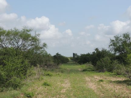 Property in Duval County, Texas