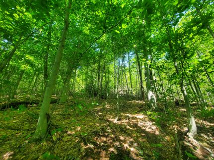 Property in Steuben County, New York