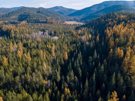 Property in Stevens County, Washington