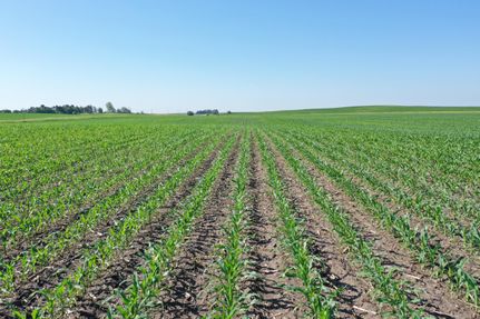 Property in Pocahontas County, Iowa