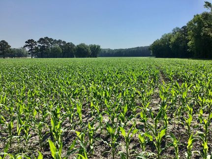 Property in Columbus County, North Carolina