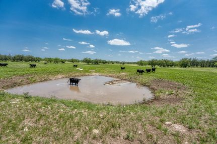 Property in Concho County, Texas