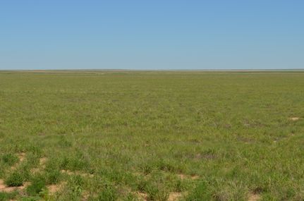 Property in Kiowa County, Colorado