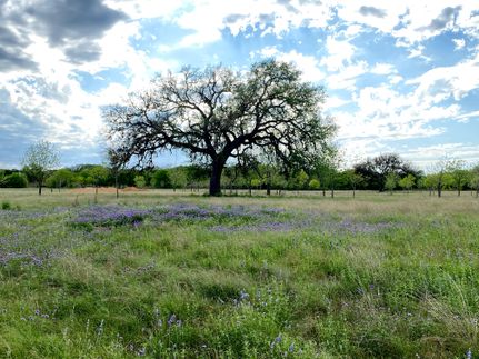 Property in Blanco County, Texas