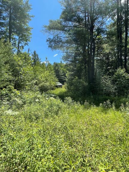 Property in Lewis County, New York