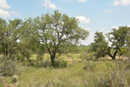 Property in McCulloch County, Texas