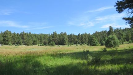 Property in Las Animas County, Colorado