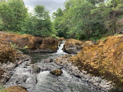 Property in Douglas County, Oregon