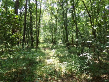 Property in Harris County, Texas