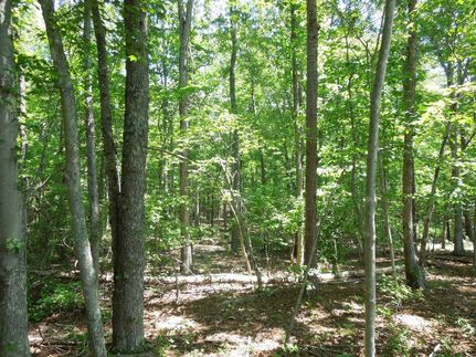 Property in Person County, North Carolina