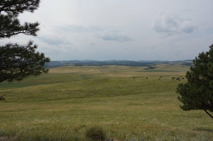 Property in Custer County, South Dakota