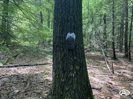 Property in Pike County, Pennsylvania