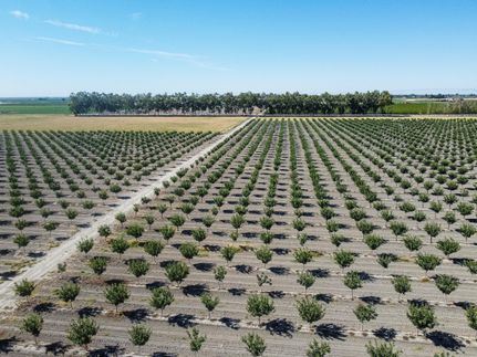 Property in Tulare County, California