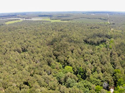 Property in Drew County, Arkansas