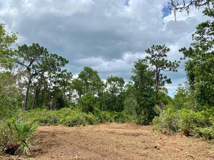 Property in Polk County, Florida