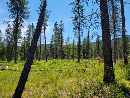 Property in Ferry County, Washington