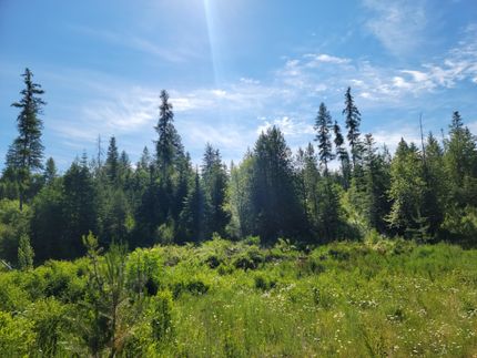 Property in Stevens County, Washington