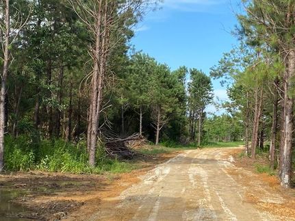 Property in Baldwin County, Alabama