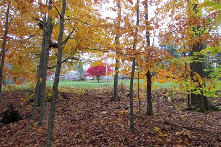 Property in Sullivan County, New York