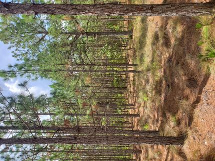 Property in Harnett County, North Carolina