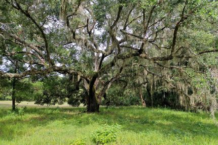 Property in Orange County, Florida