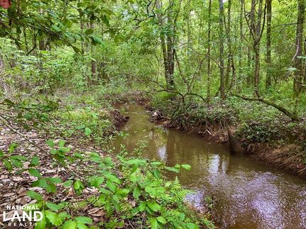 Property in Dale County, Alabama