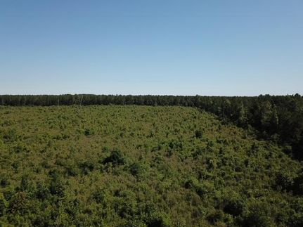 Property in Webster Parish, Louisiana