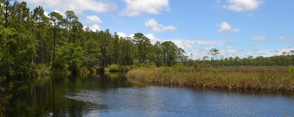 Property in Franklin County, Florida
