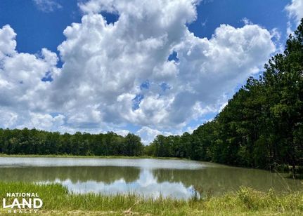 Property in Lowndes County, Georgia