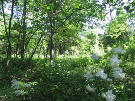 Property in Greene County, New York