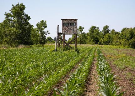 Property in New Madrid County, Missouri
