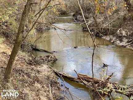 Property in Marengo County, Alabama