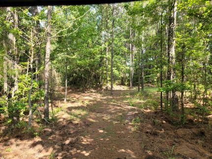 Property in Marion County, Texas