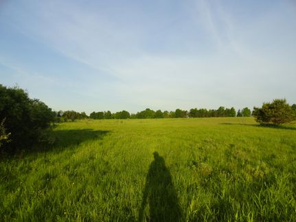 Property in Alpena County, Michigan