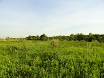 Property in Alpena County, Michigan