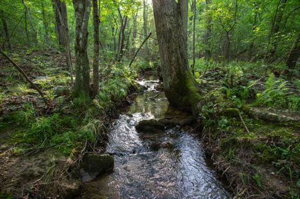Property in DeKalb County, Alabama