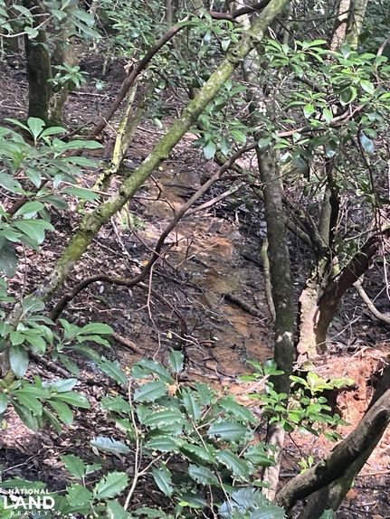 Property in Dale County, Alabama