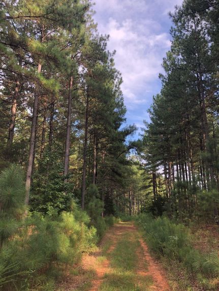 Property in Fluvanna County, Virginia