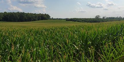 Property in Caroline County, Virginia