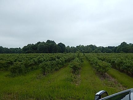 Property in Van Buren County, Michigan