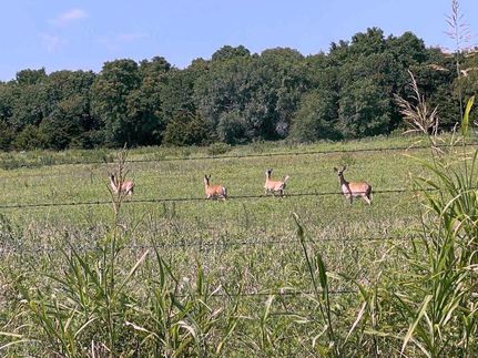 Property in Major County, Oklahoma