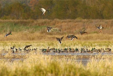 Property in Desha County, Arkansas