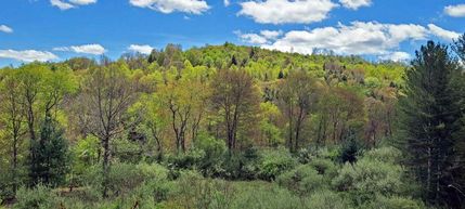 Property in Fayette County, West Virginia